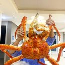 (주)유통킹 이미지