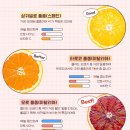 오렌지빠 이미지