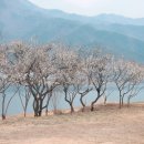 용당수변공원 화장실 이미지