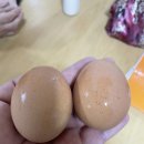 금곡1리 네이버블로그