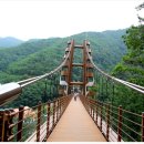 좌구산자연휴양림 이미지