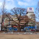 왕버들공원화장실 이미지