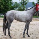 기량축산 이미지