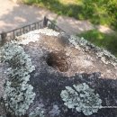 탑동 삼층석탑 이미지