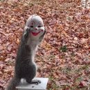 세이에너지 이미지