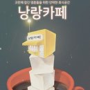 룸즈에이대전