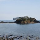 이레올래 이미지