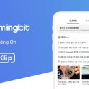 블루밍