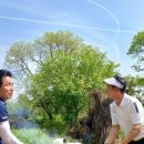 미성상사 이미지