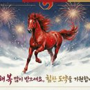 금정태권도 이미지