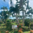 엘텍인터내셔날태양광발전소 | 괌 스타츠cc(현 파인이스트cc)라운딩 후기/ 여행사 골프투어