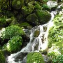 절터골2 이미지