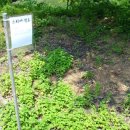 섭이네 농장 이미지