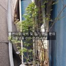 울진중앙로 이미지