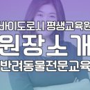 바이도로시평생교육원