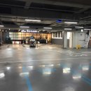 Eco스팀세차