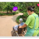 의료법인 대한불교조계종 승려복지 아미타불교요양병원 이미지