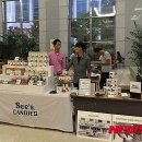씨즈 이미지