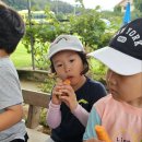 순성어린이집 네이버블로그
