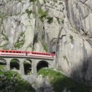 신 교동짬뽕 이미지