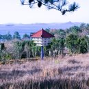 천사꽃펜션 이미지