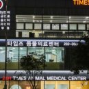 타임즈 동물의료센터 | 수원 24시 24타임즈동물의료센터 믿음직한 진료