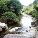 에코힐링민박 이미지