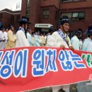 법률사무소유림