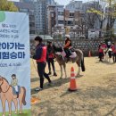 대덕승마장 이미지