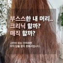 [공지] 부산 광안리 미용실 이더프 곱슬머리 펌 없이 해결하는 브러싱 시술 후기