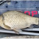 노진낚시터 이미지