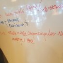 용강헬스사우나 이미지