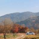 이목리 야구장 이미지