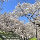 CU(진해경화점) 네이버블로그