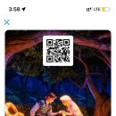 유디니스튜디오