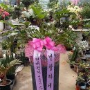 둥지 당구장 이미지