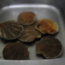 승현 당구클럽 이미지