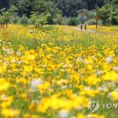 (주)시민의소리 이미지