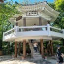 수봉놀이동산 | 인천 수봉공원 스카이워크 후기🌳 아이랑 다녀온 전망 좋은 공원