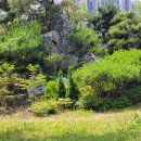 중랑상봉도서관 이미지