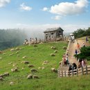 청명목장 이미지