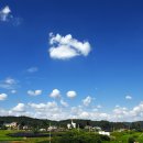 고향생각 이미지