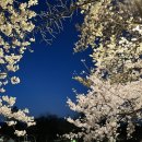 우이천가로공원 이미지