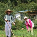 만고강산 이미지