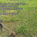 예초 이미지