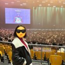 눈부신날에 | 2025 김동률 '산책' 콘서트/ 30년 차 팬이 쓰는 후기 (feat. 울어도 되는 걸까 이렇게 눈부신 날에)