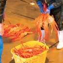 농수축산물공판장
