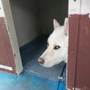 아침마당세탁 이미지