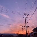 달마루 스파 이미지