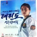 대학태권도체육관 이미지
